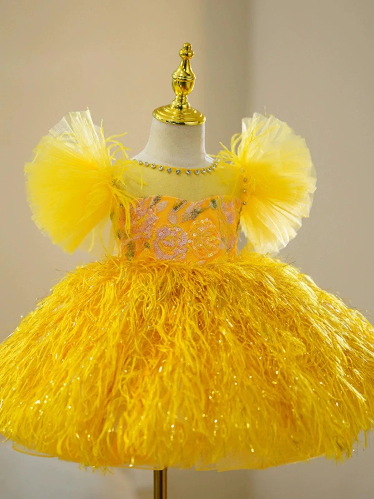 Dreamy Feather Princess Gown