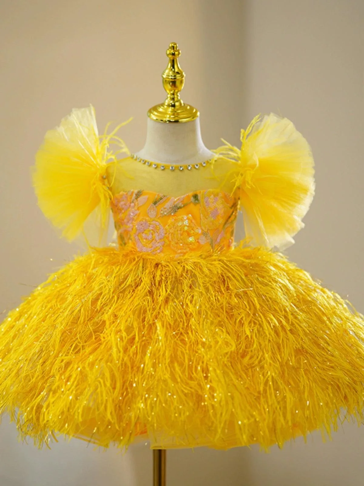 Dreamy Feather Princess Gown