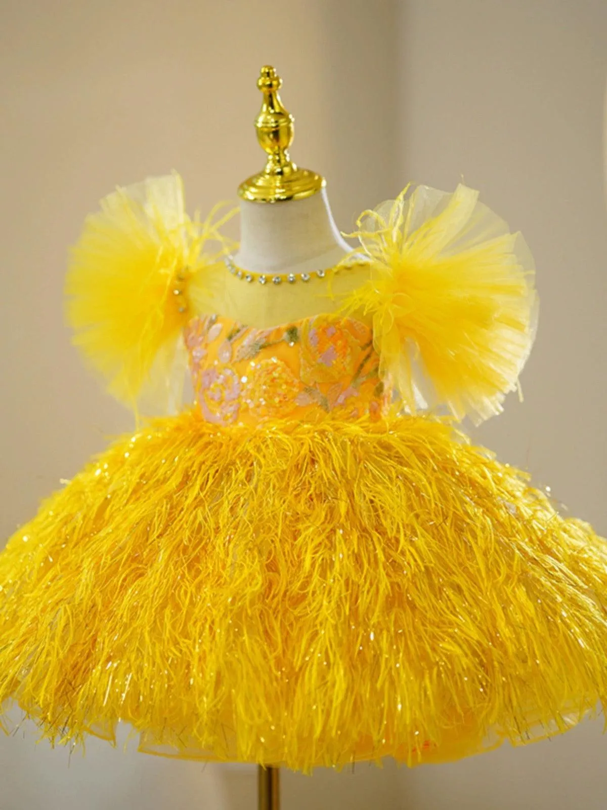 Dreamy Feather Princess Gown