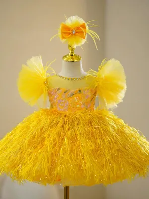 Dreamy Feather Princess Gown