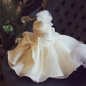 Elegant Little Angel Dress