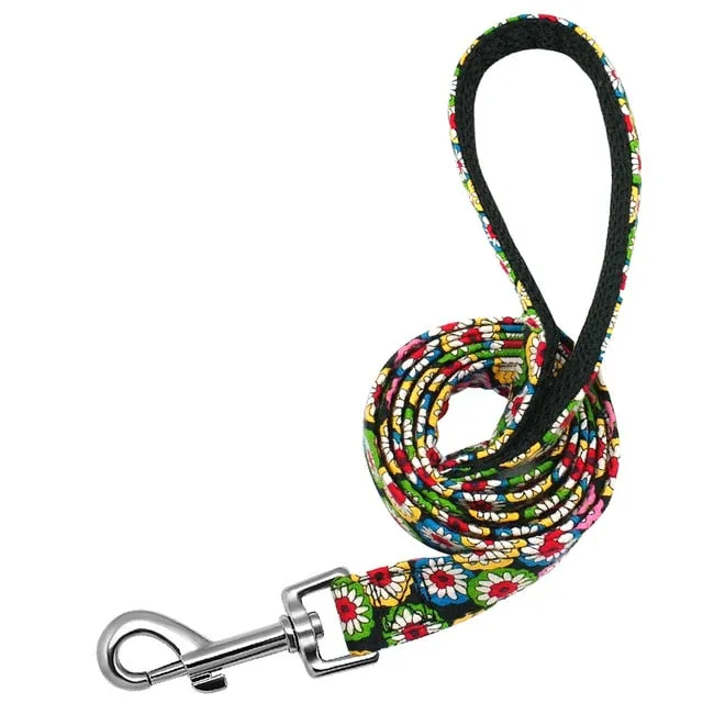 Groovy Leash