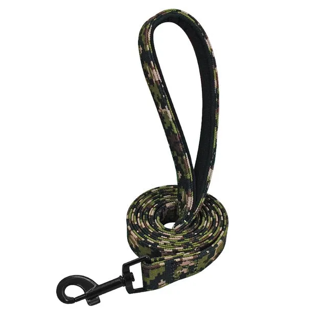 Groovy Leash