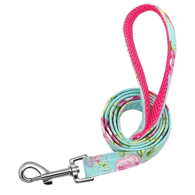 Groovy Leash