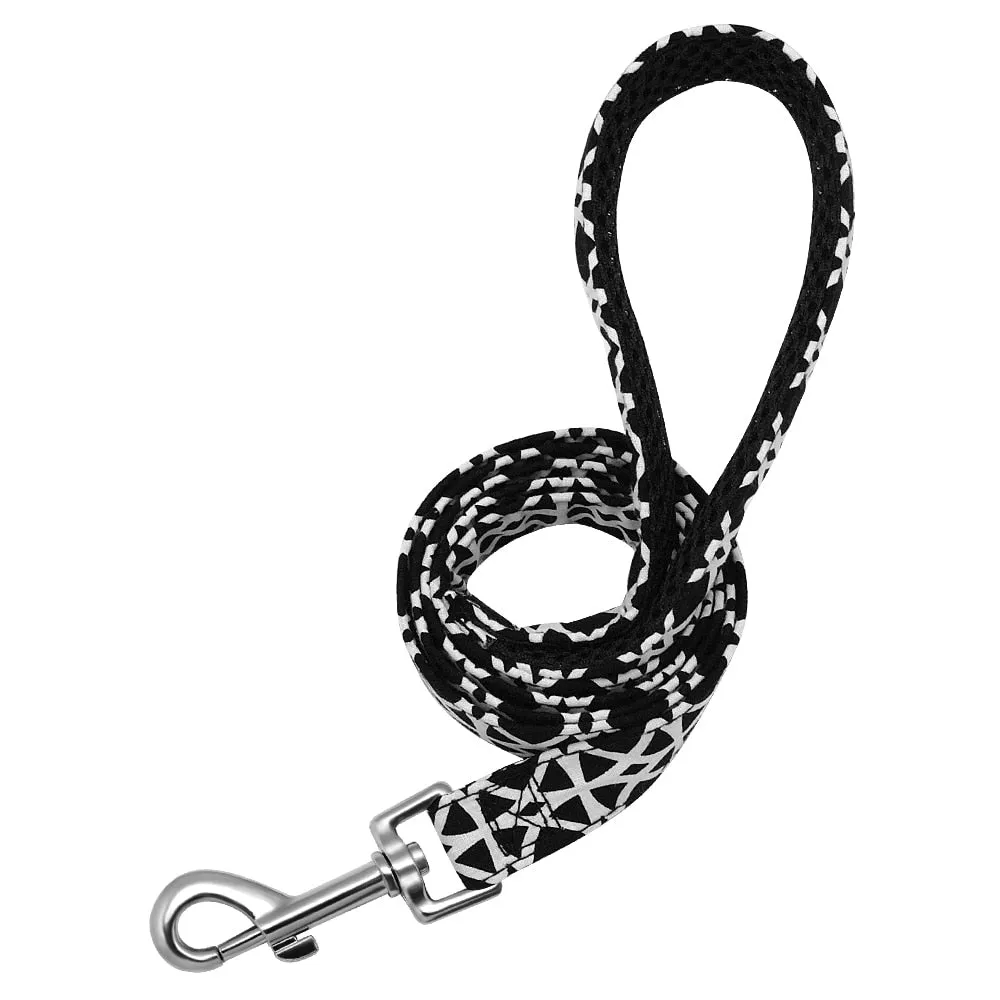 Groovy Leash
