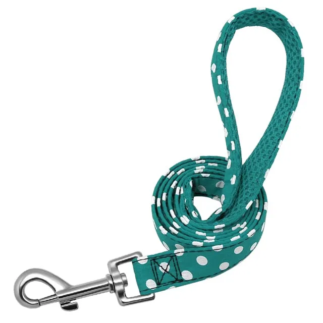 Groovy Leash