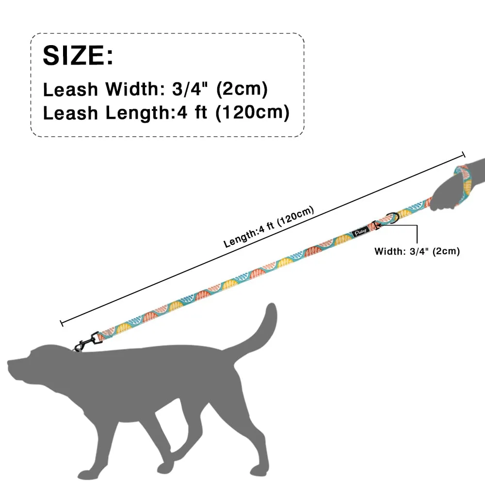 Groovy Leash