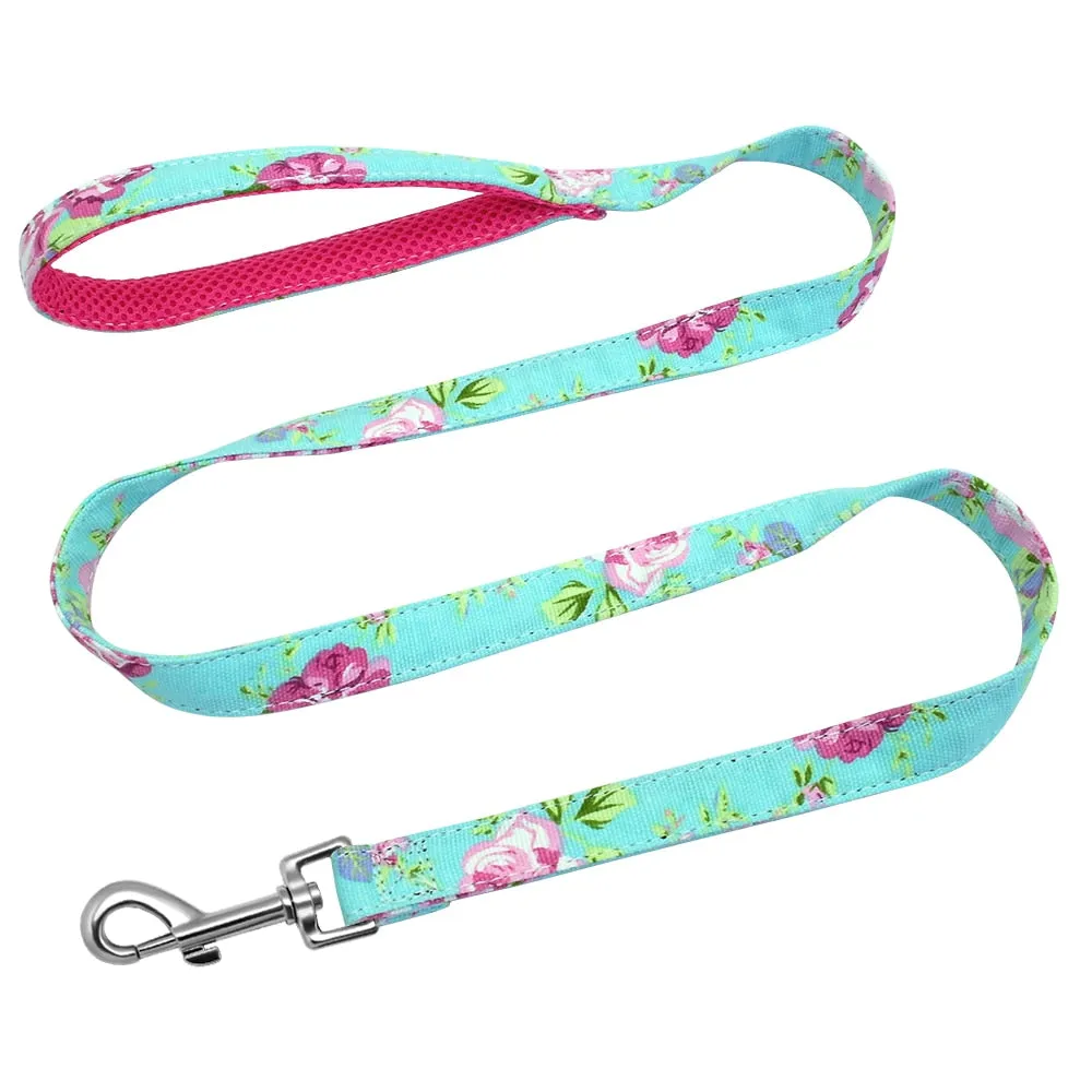Groovy Leash