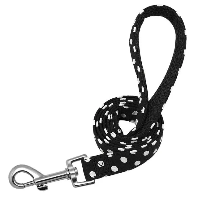 Groovy Leash