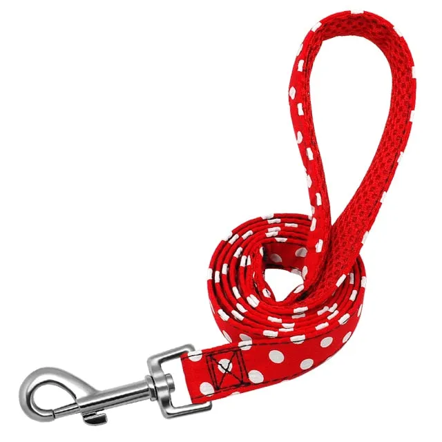 Groovy Leash