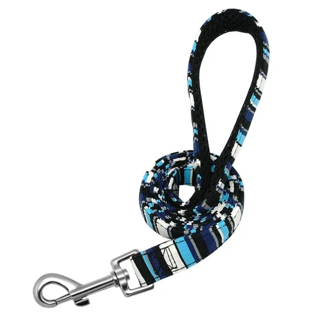 Groovy Leash
