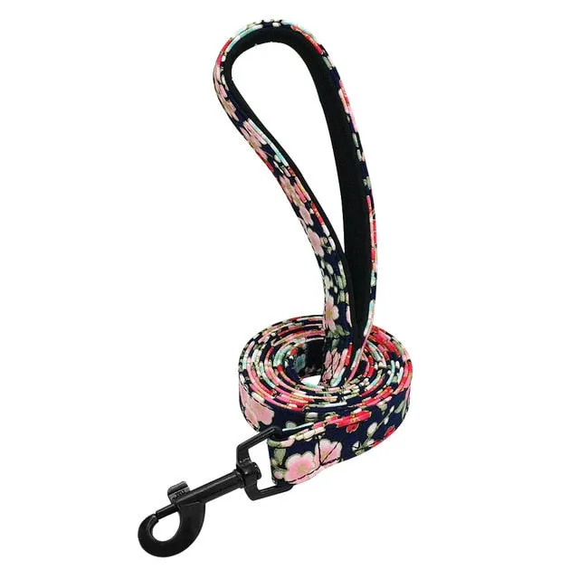 Groovy Leash