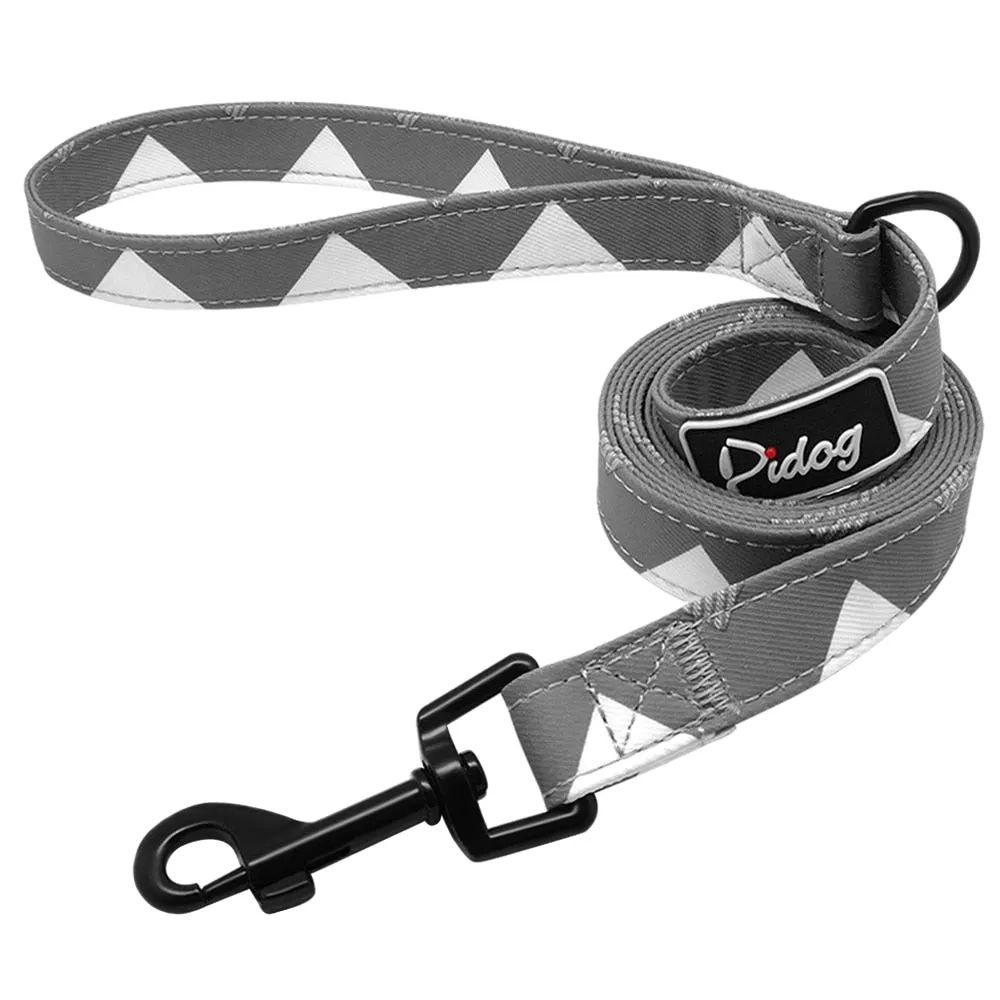 Groovy Leash