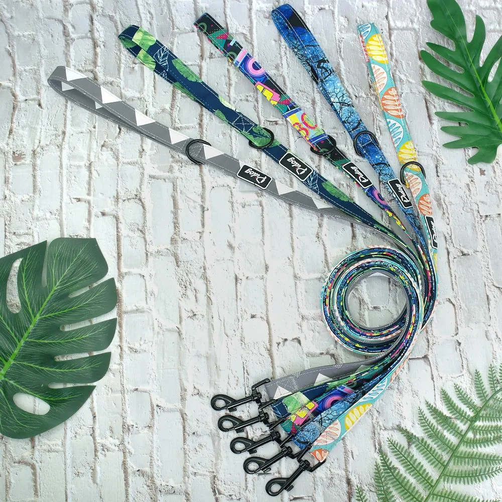 Groovy Leash