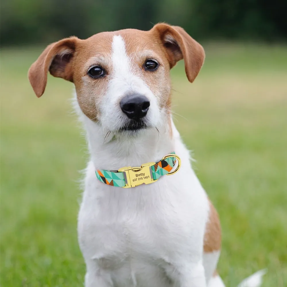 Polygonal Personalized Collar