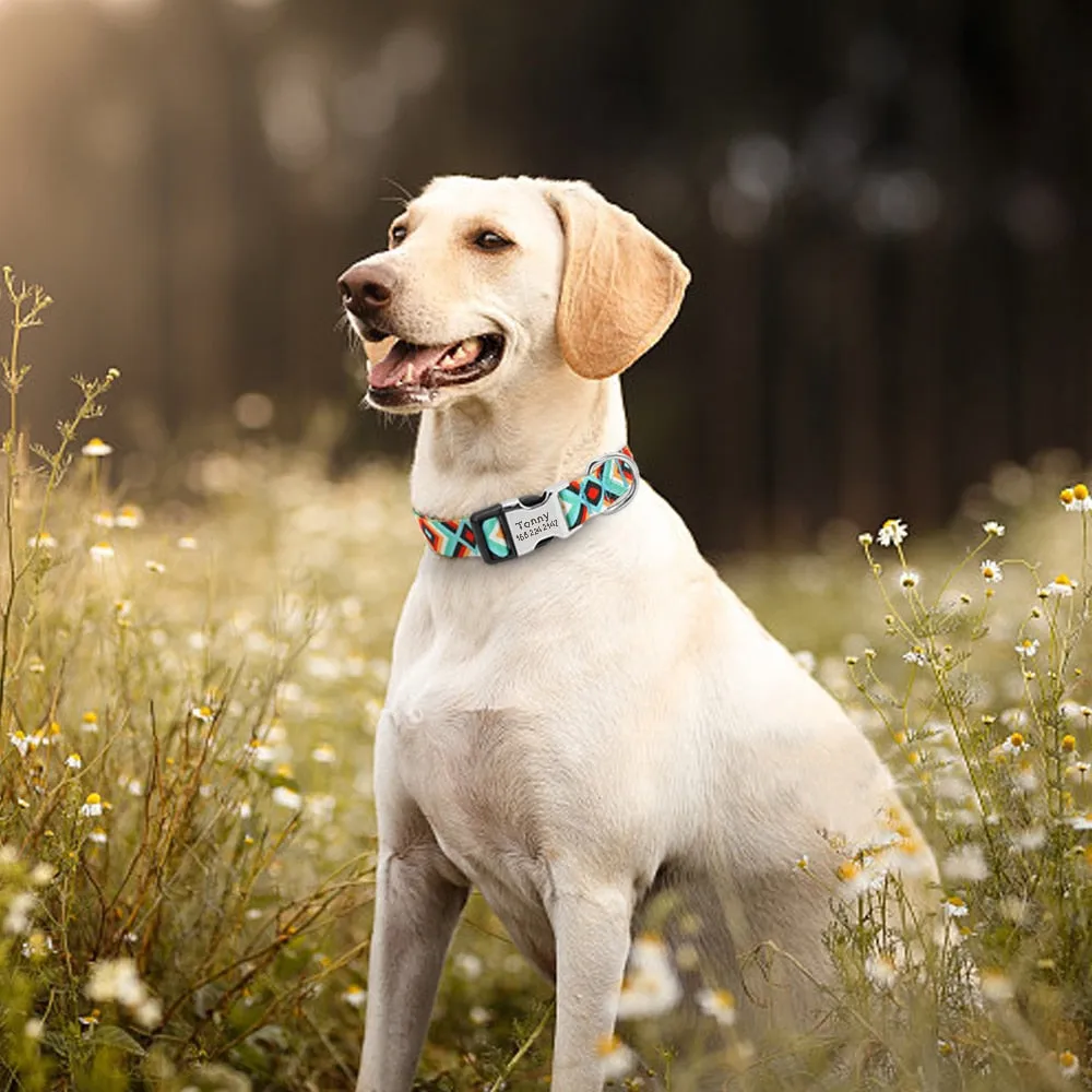Polygonal Personalized Collar