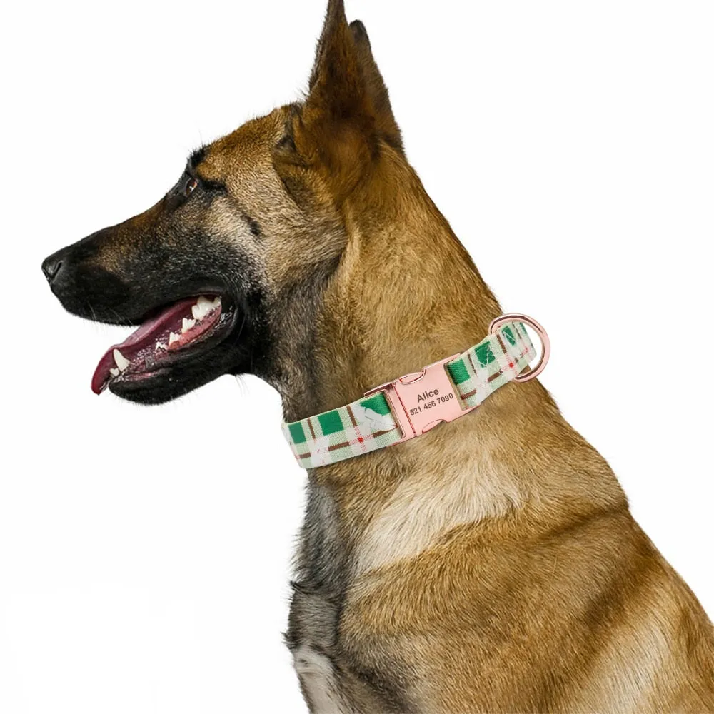 Polygonal Personalized Collar